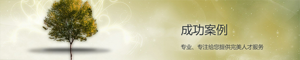 成功案例